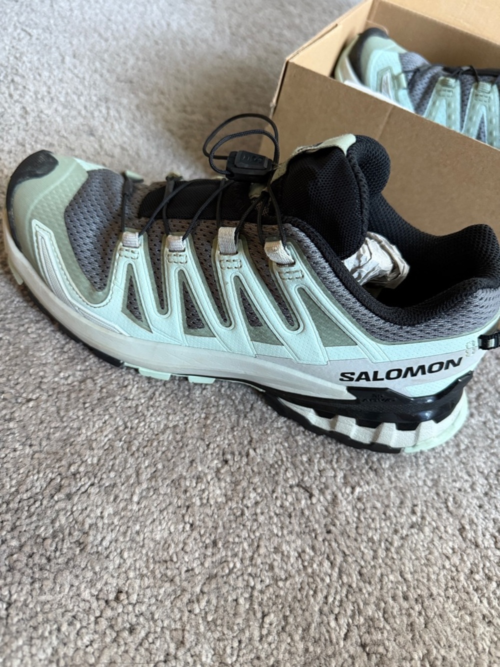 Salomon XA Pro 3D Trail Shoe in Light Green and Black (Lily Pad/Haze)